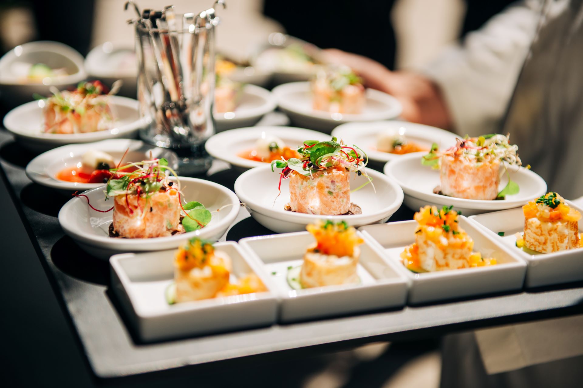 Ein Serviertablett mit kunstvoll angerichteten, kleinen Gourmet-Vorspeisen, darunter frische Lachstatar-Türmchen und kreative Häppchen mit fein geschnittenen Zutaten, bereit für den Service bei einer eleganten Veranstaltung.