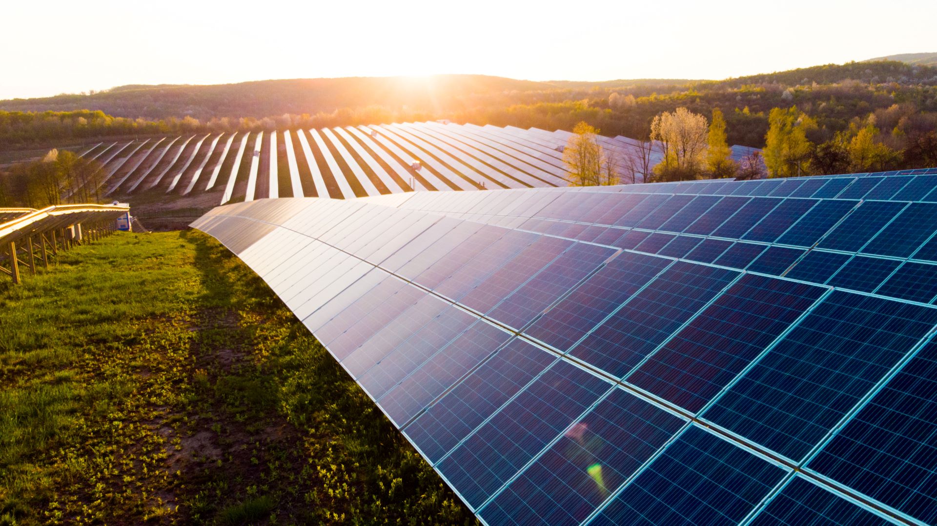 Sonnenaufgang über einem weitläufigen Solarpark mit Solarmodulen auf einem grünen Hügel